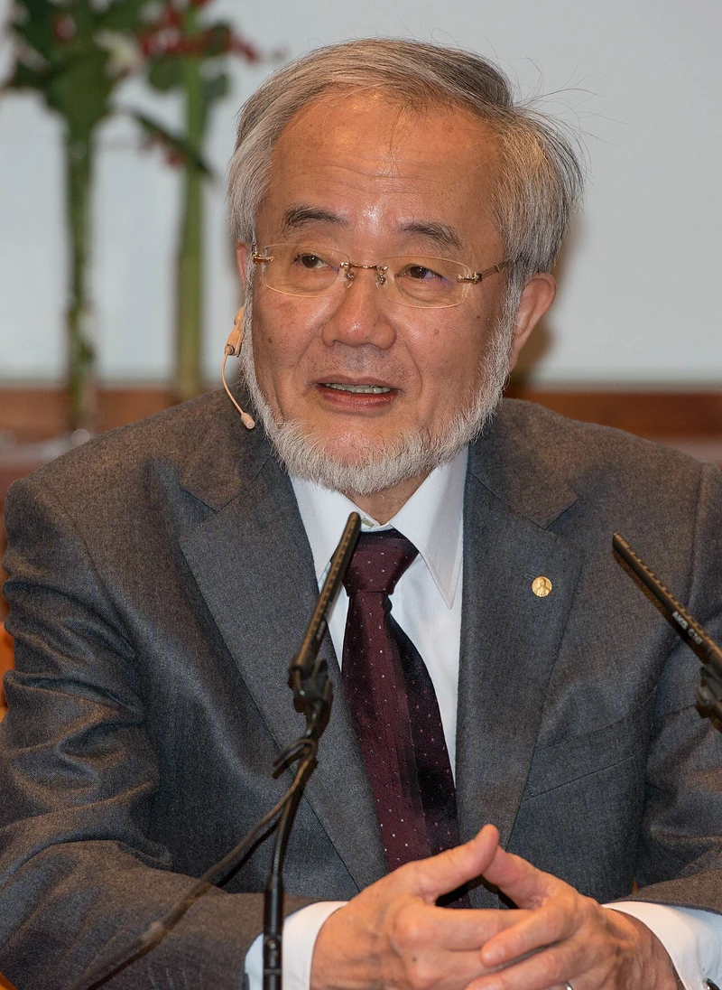 Yoshinori Ohsumi, Nobel laureate and specially appointed professor at the Institute of Science Tokyo